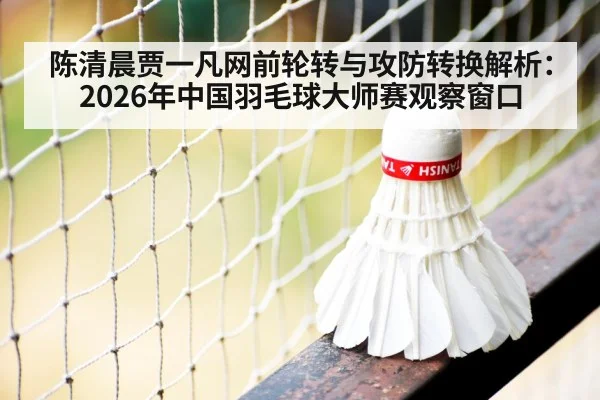 badminton net shot close up