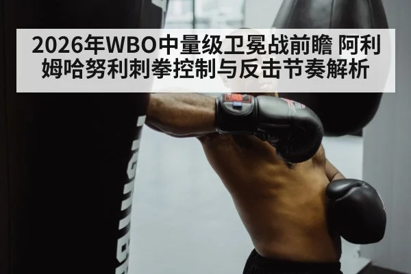 2026年WBO中量级卫冕战前瞻 阿利姆哈努利刺拳控制与反击节奏解析